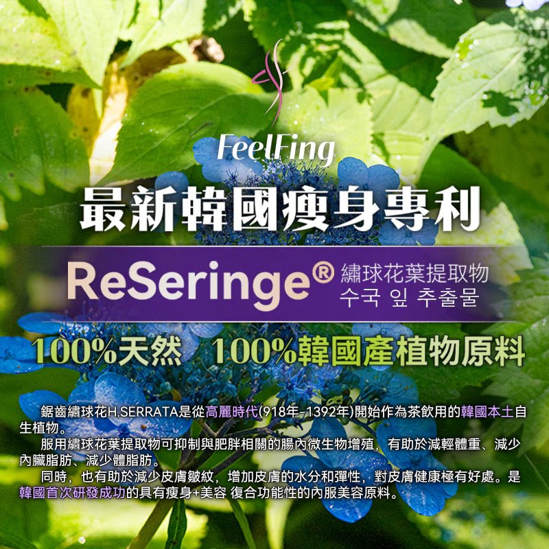 現貨英國FeelFing 天然2+2溶脂燃脂美肌塑形纖體丸(1盒30日)超級優惠FeelFingBeauty decoder 醫美護膚品專門店8806129204518