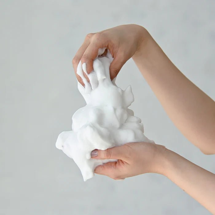 現貨日本Plamine 黏土海泥泡泡洗面乳120g超優惠PlamineBeauty decoder 醫美護膚品專門店